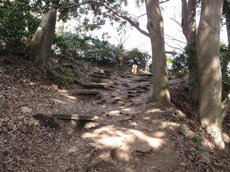 20180223hike (125)